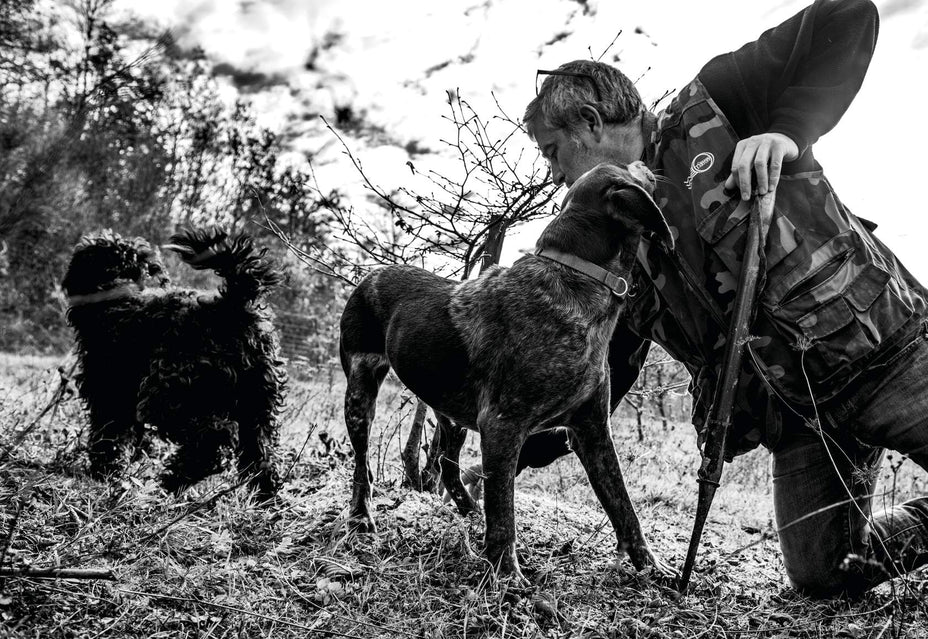 Alles über Trüffel