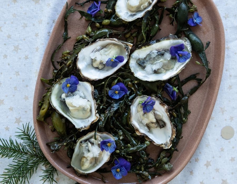 Austern mit Gin-Granita
