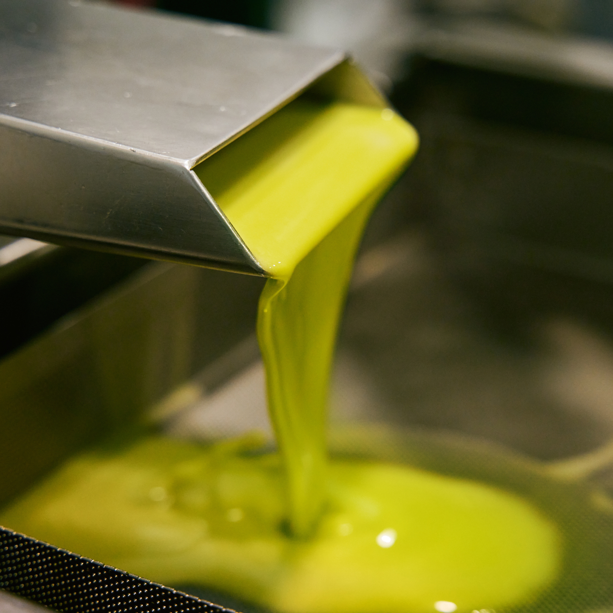 Novello Natives Olivenöl Extra 2025/2026 - Erste Ernte - 500ml